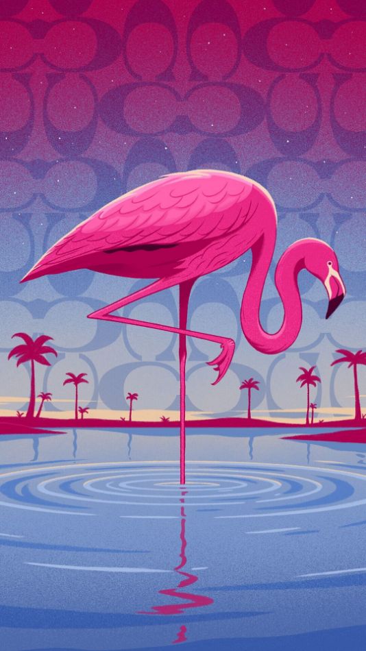 Flamingo by Robert Hunter