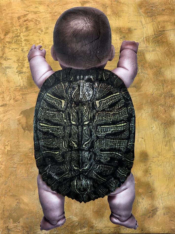 Turtle Boy by Acool55