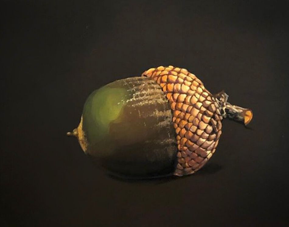 Acorn by Tommy Helm