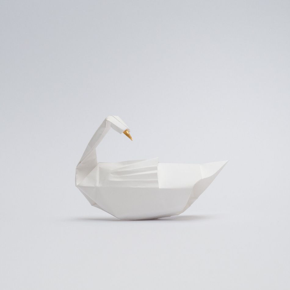 Swan by White on Rice