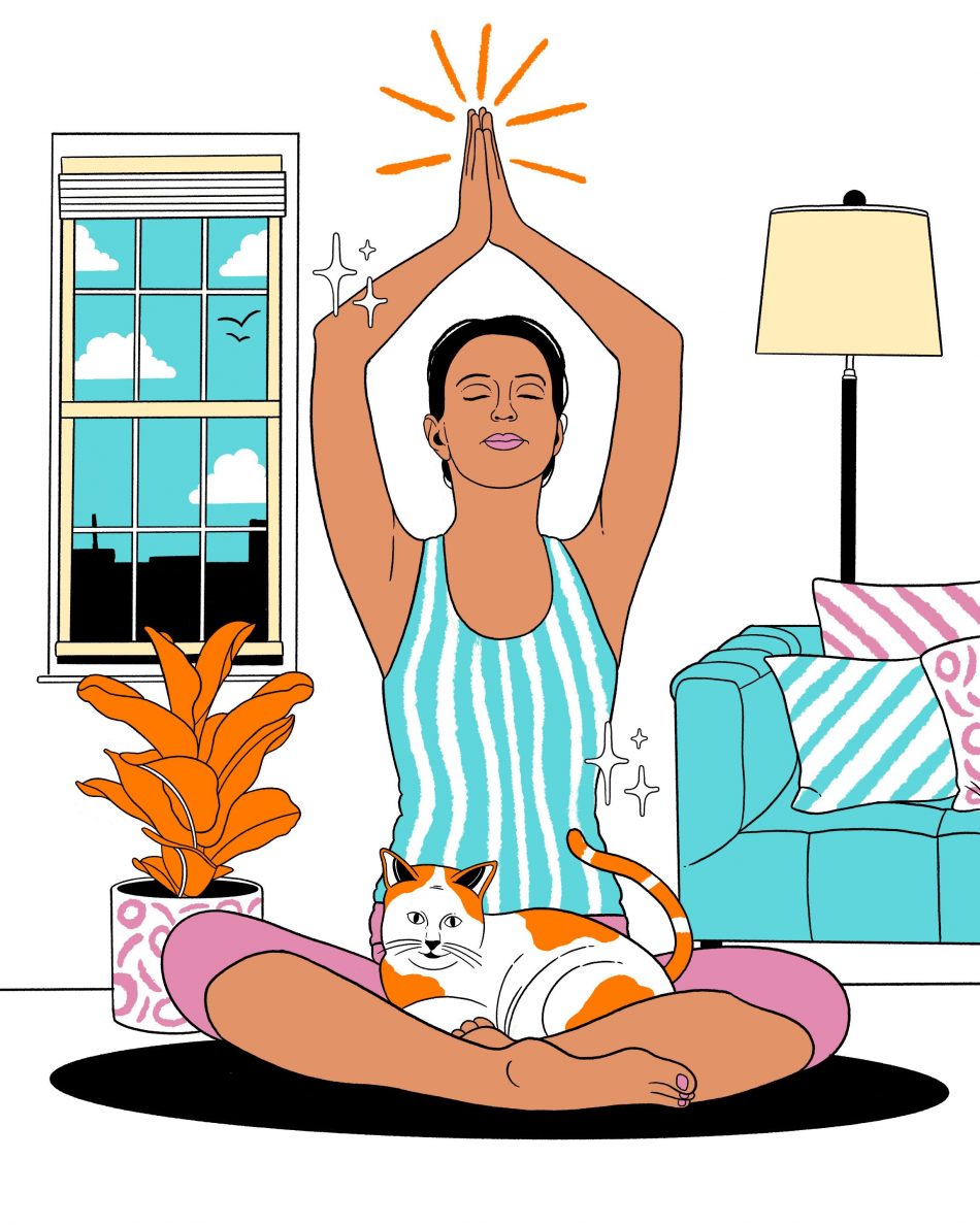 Yoga at Home by Toby Triumph